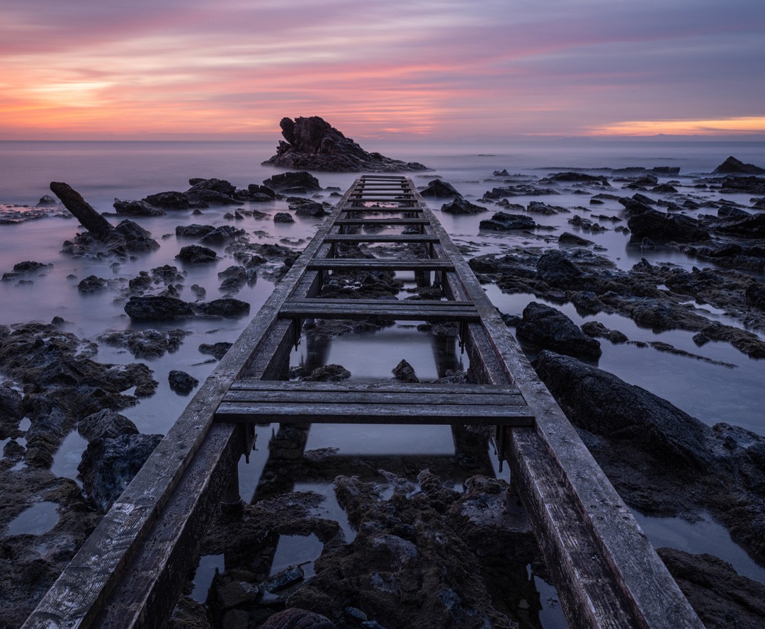 Fernando Pedro Salgado